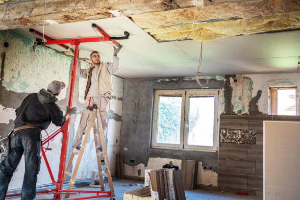Types of Insulation We Offer in Lutz, FL
