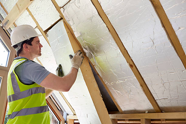 Best Fiberglass Insulation in Lutz, FL