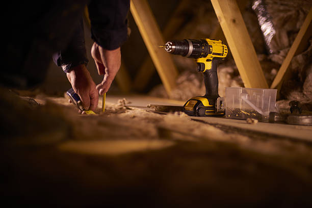 Best Specialized Insulation Services in Lutz, FL